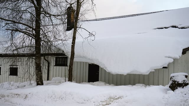 202110_72975.jpg