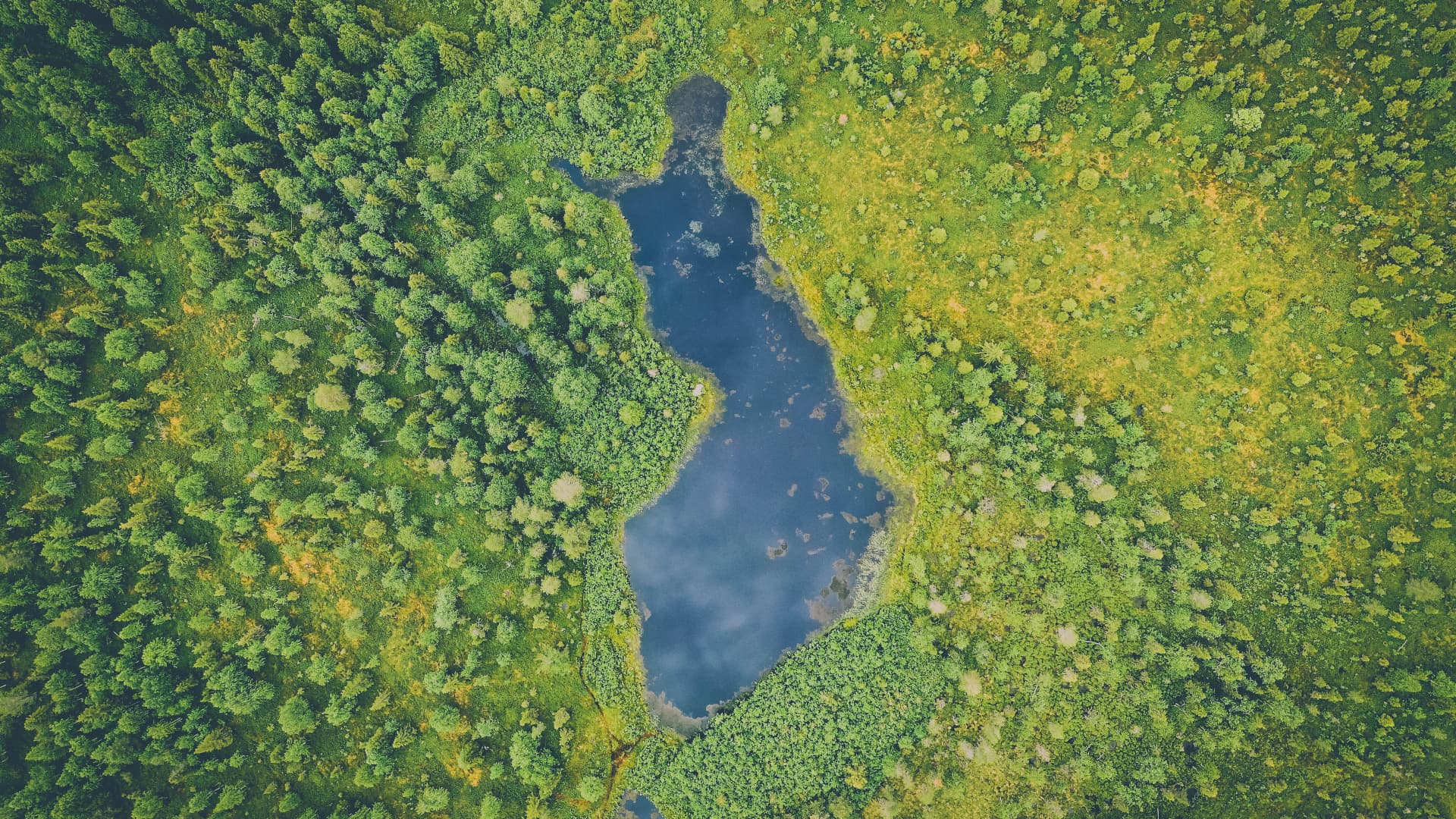 Turkulainen perhe halusi luontoa kunnioittavan kodin kaikkine toimintoineen