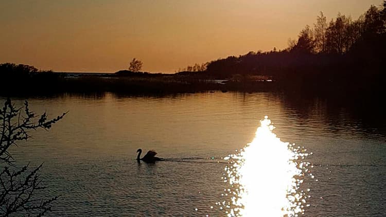 <p data-block-key="swobr">Parhaimmillaan mökki on paikka, jossa arki hidastuu ja tekeminen tuntuu mielekkäältä. Huono hankinta alkaa rasittaa nopeasti, jos matka on liian pitkä, korjausvelkaa on liikaa tai käyttökulut yllättävät. Siksi hyvä mökkikauppa alkaa realistisesta laskelmasta ja rehellisestä kysymyksestä: kuinka paljon mökkielämää oikeasti haluamme? </p>