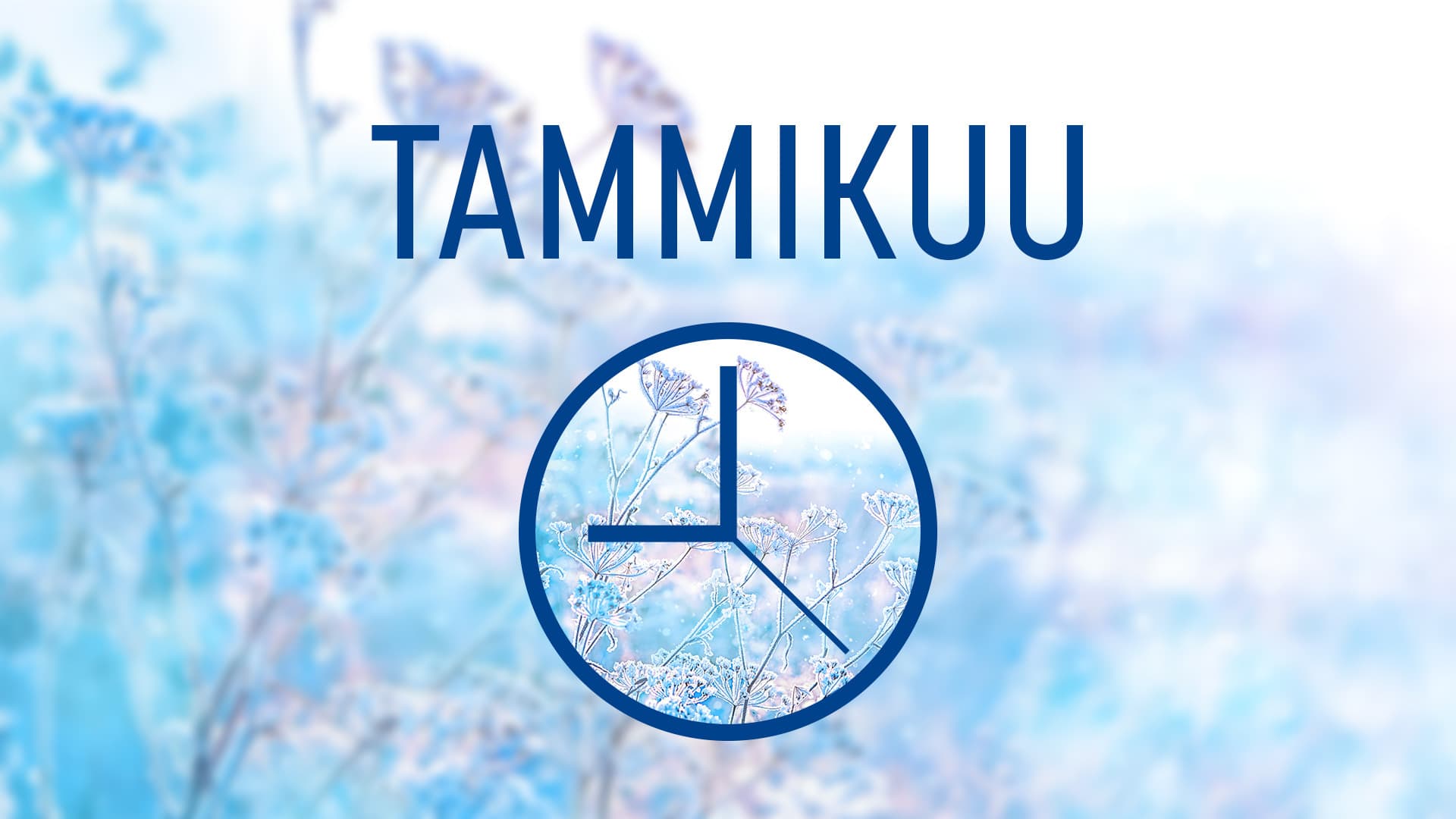 Taloyhtiön vuosikello: Tammikuu